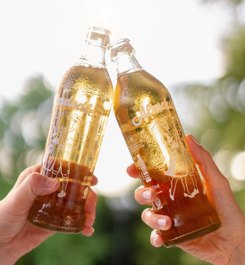 Almdudler, österreichische Kräuterlimonade (0,35l)